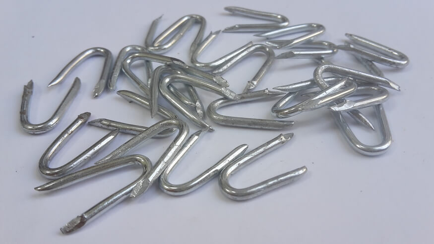 u shaped nails_hot-dipped galvanized fence staples / u type nails