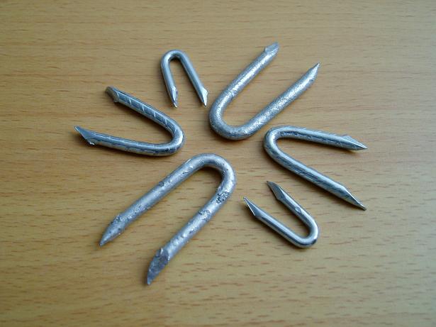 hot-dipped galvanized fence staples / u nails/ u type nails