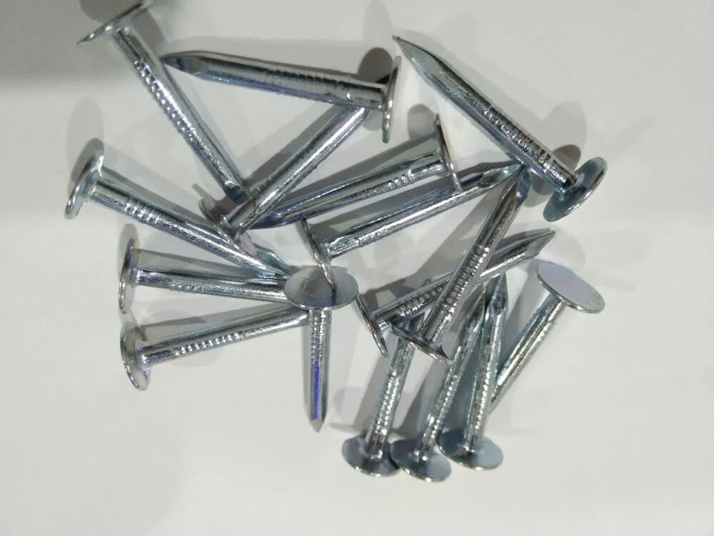 galvanized clout nails