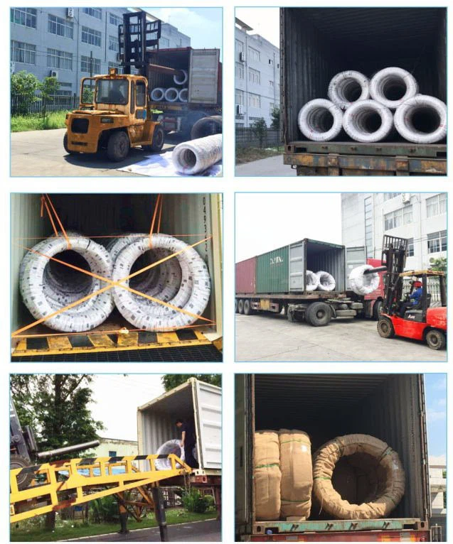 Screw Nail Wire SAE1008 SAE1006 Loading photo Amigo Tech